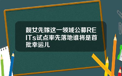 靓女先嫁这一领域公募REITs试点率先落地谁将是首批幸运儿