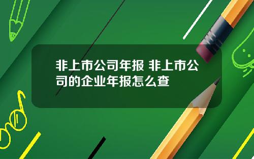 非上市公司年报 非上市公司的企业年报怎么查