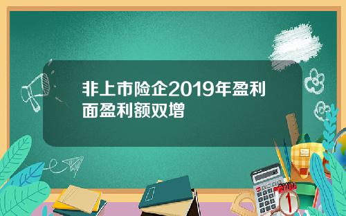 非上市险企2019年盈利面盈利额双增