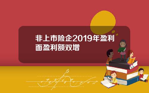 非上市险企2019年盈利面盈利额双增