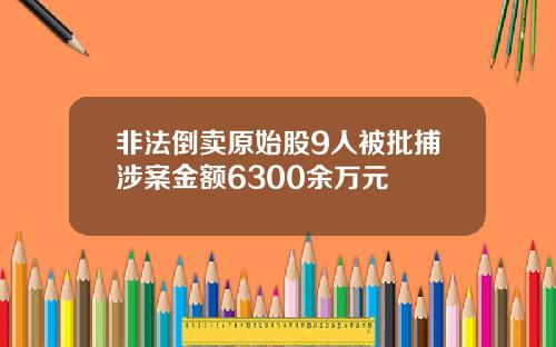 非法倒卖原始股9人被批捕涉案金额6300余万元