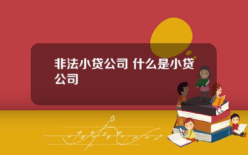 非法小贷公司 什么是小贷公司