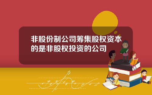 非股份制公司筹集股权资本的是非股权投资的公司