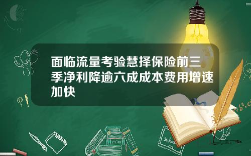 面临流量考验慧择保险前三季净利降逾六成成本费用增速加快