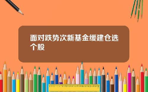 面对跌势次新基金缓建仓选个股