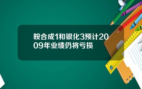 鞍合成1和银化3预计2009年业绩仍将亏损