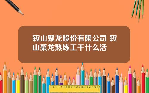鞍山聚龙股份有限公司 鞍山聚龙熟练工干什么活