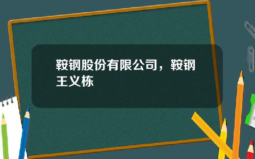 鞍钢股份有限公司,鞍钢 王义栋