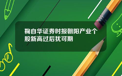 鞠自华证券时报朝阳产业个股新高过后犹可期