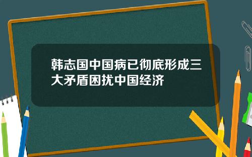 韩志国中国病已彻底形成三大矛盾困扰中国经济