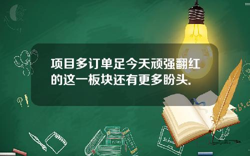 项目多订单足今天顽强翻红的这一板块还有更多盼头.