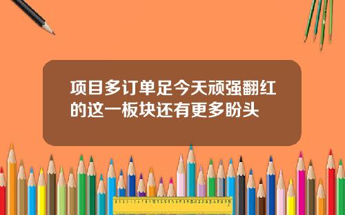 项目多订单足今天顽强翻红的这一板块还有更多盼头