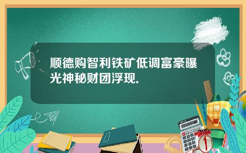 顺德购智利铁矿低调富豪曝光神秘财团浮现.
