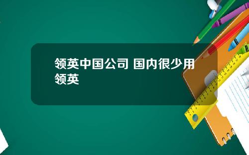 领英中国公司 国内很少用领英