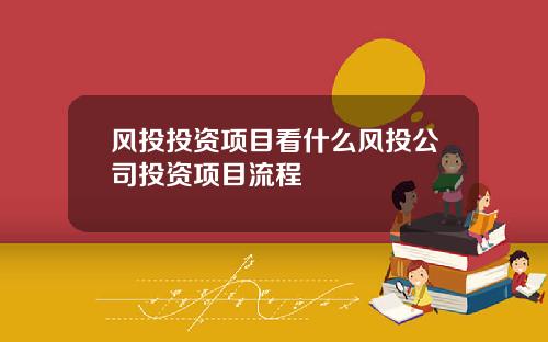 风投投资项目看什么风投公司投资项目流程