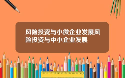 风险投资与小微企业发展风险投资与中小企业发展