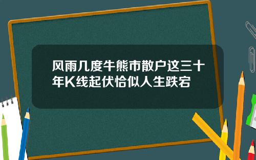 风雨几度牛熊市散户这三十年K线起伏恰似人生跌宕