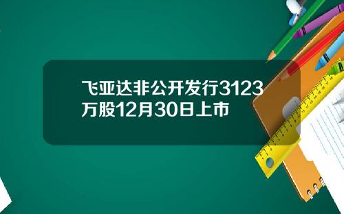 飞亚达非公开发行3123万股12月30日上市
