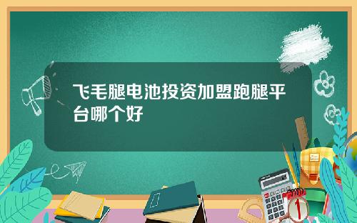 飞毛腿电池投资加盟跑腿平台哪个好