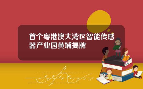 首个粤港澳大湾区智能传感器产业园黄埔揭牌