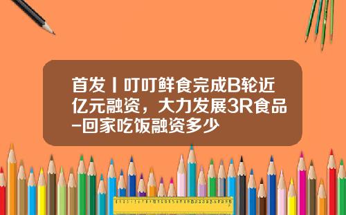 首发丨叮叮鲜食完成B轮近亿元融资，大力发展3R食品-回家吃饭融资多少
