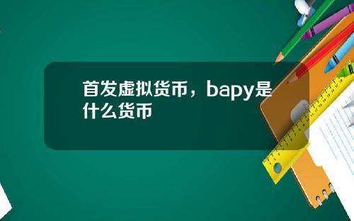 首发虚拟货币，bapy是什么货币