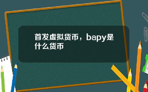 首发虚拟货币,bapy是什么货币