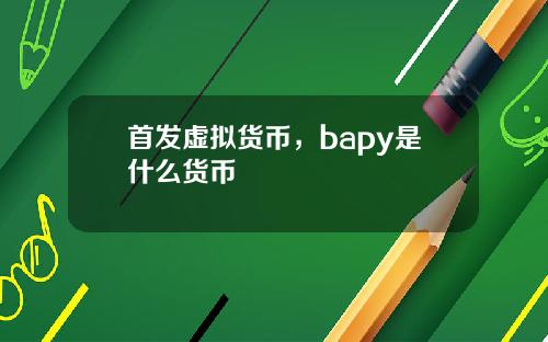 首发虚拟货币,bapy是什么货币