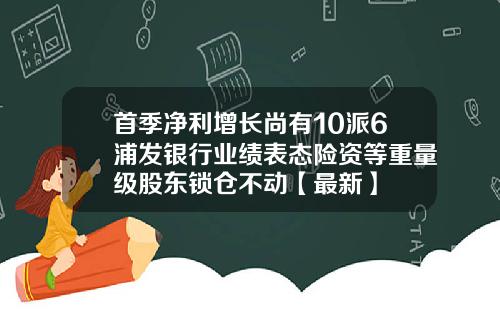 首季净利增长尚有10派6浦发银行业绩表态险资等重量级股东锁仓不动【最新】