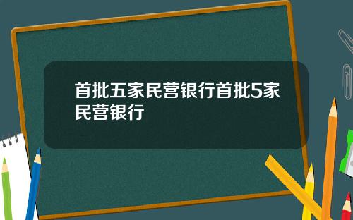 首批五家民营银行首批5家民营银行