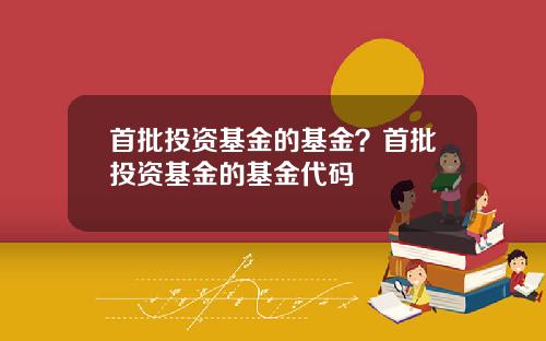 首批投资基金的基金?首批投资基金的基金代码