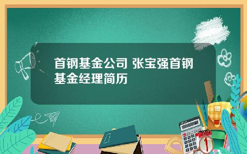 首钢基金公司 张宝强首钢基金经理简历