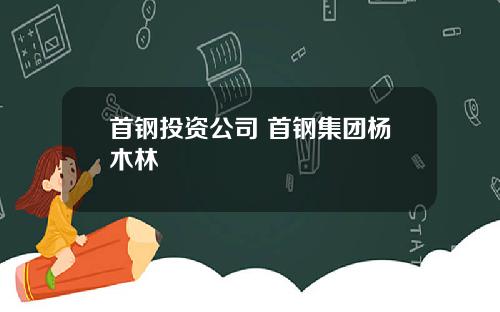 首钢投资公司 首钢集团杨木林