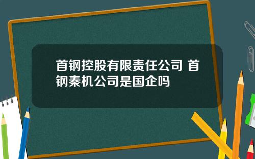 首钢控股有限责任公司 首钢秦机公司是国企吗