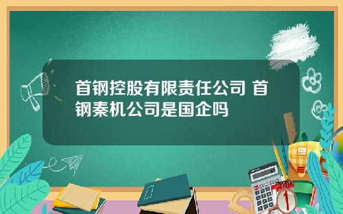 首钢控股有限责任公司 首钢秦机公司是国企吗