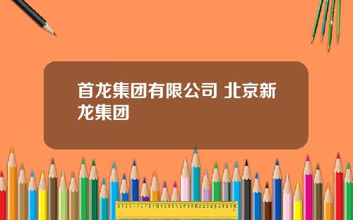 首龙集团有限公司 北京新龙集团