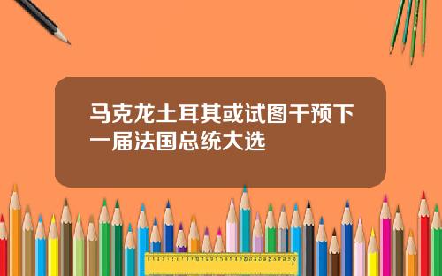 马克龙土耳其或试图干预下一届法国总统大选