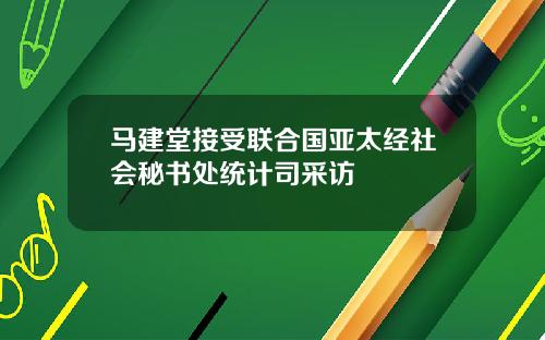 马建堂接受联合国亚太经社会秘书处统计司采访
