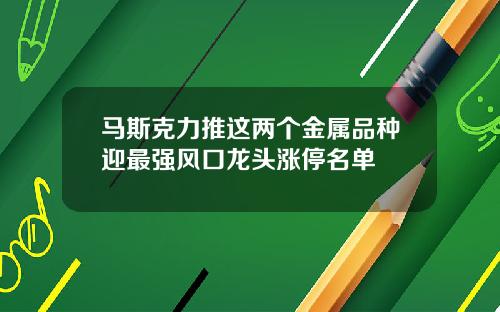 马斯克力推这两个金属品种迎最强风口龙头涨停名单