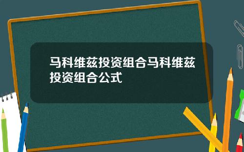 马科维兹投资组合马科维兹投资组合公式