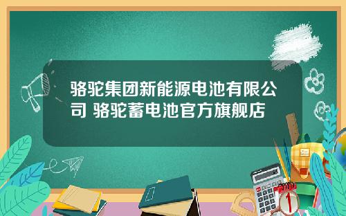 骆驼集团新能源电池有限公司 骆驼蓄电池官方旗舰店