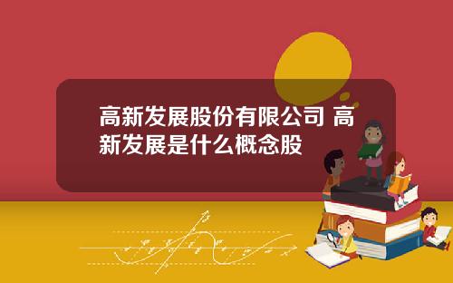 高新发展股份有限公司 高新发展是什么概念股