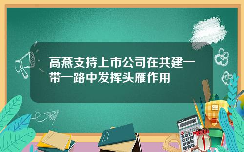 高燕支持上市公司在共建一带一路中发挥头雁作用