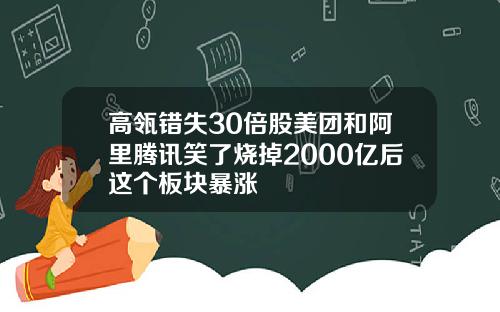 高瓴错失30倍股美团和阿里腾讯笑了烧掉2000亿后这个板块暴涨