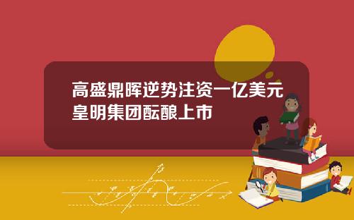 高盛鼎晖逆势注资一亿美元皇明集团酝酿上市