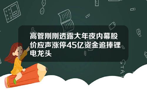 高管刚刚透露大年夜内幕股价应声涨停45亿资金追捧锂电龙头
