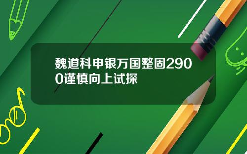魏道科申银万国整固2900谨慎向上试探