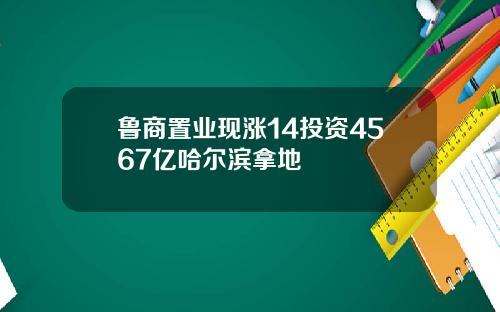 鲁商置业现涨14投资4567亿哈尔滨拿地