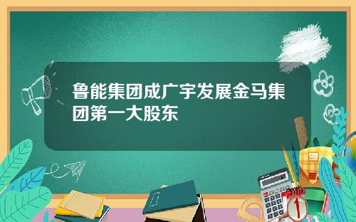 鲁能集团成广宇发展金马集团第一大股东
