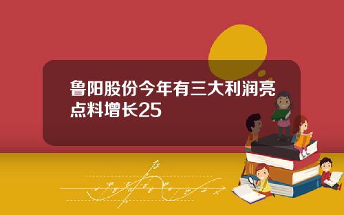 鲁阳股份今年有三大利润亮点料增长25